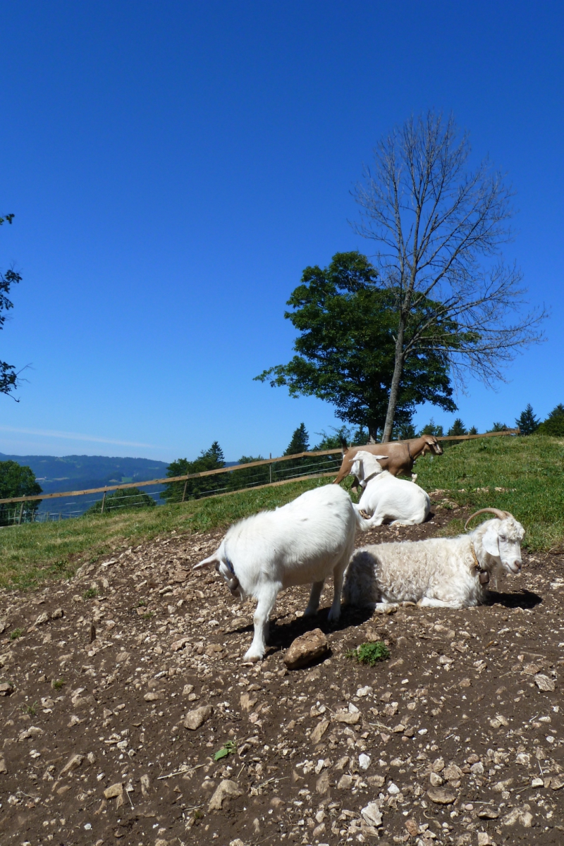 Le Creux du Van – Val de Travers – Neuchâtel