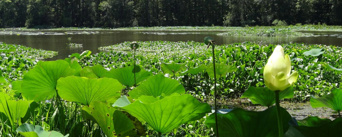 Huntsville State Park