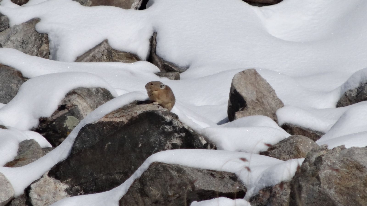 Mayflower Gulch – Colorado