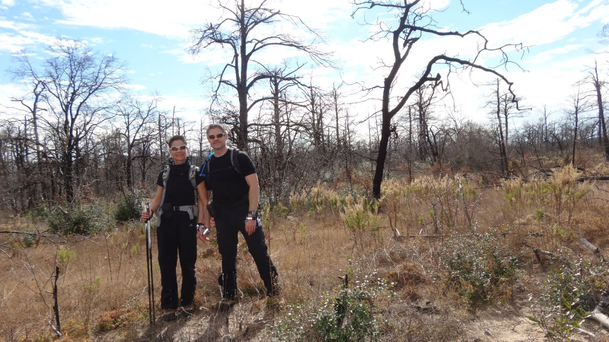 Bastrop State Park – Texas