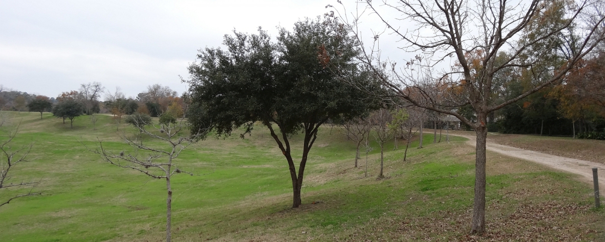 Terry Hershey Hike and Bike Trail