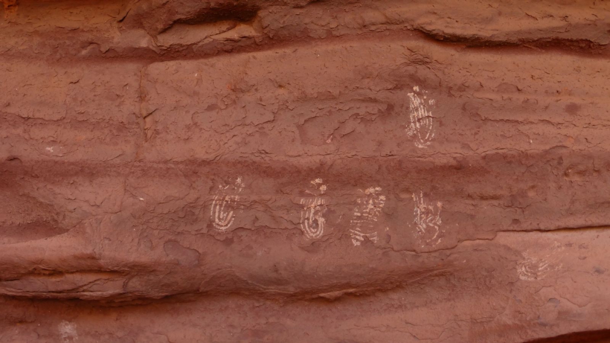 Salt Creek Canyon – Needles – Canyonlands National Park – Utah