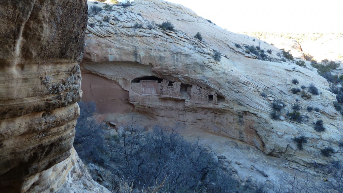 Target Ruins – Cedar Mesa – Utah