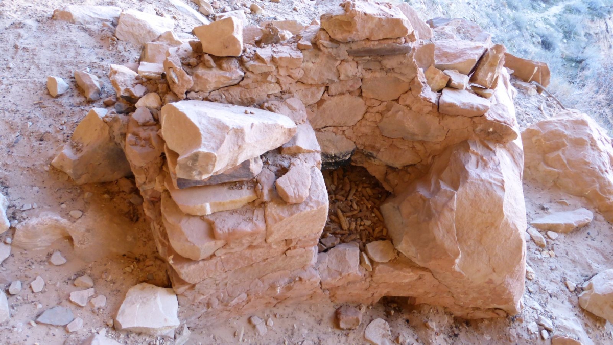 Ballroom Cave Ruins – Cedar Mesa – Utah