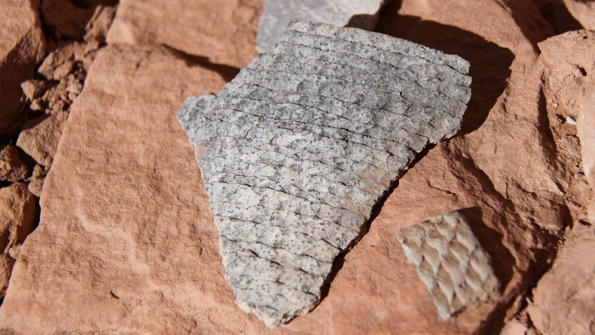 Junction Ruins – Kane Gulch – Cedar Mesa – Utah