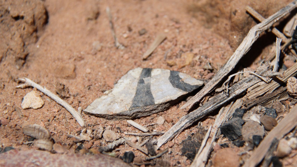 Junction Ruins – Kane Gulch – Cedar Mesa – Utah