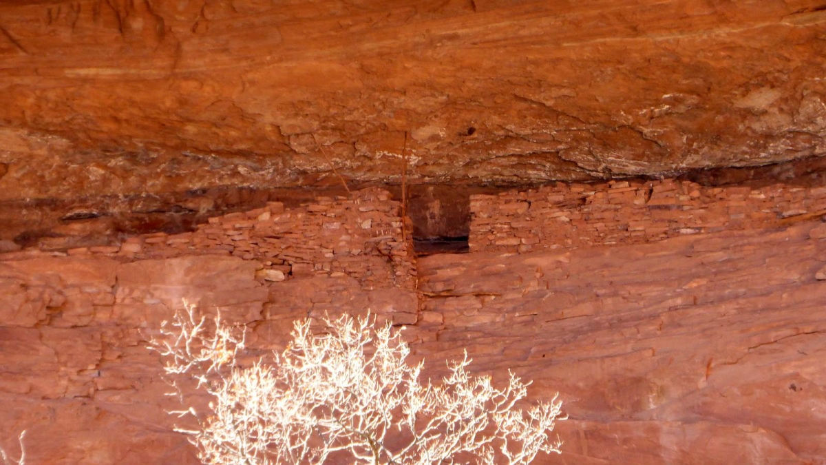 Turkey Pen – Grand Gulch – Cedar Mesa – Utah