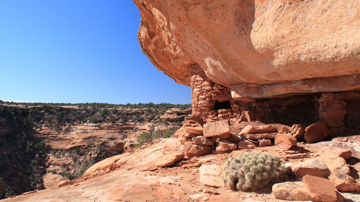 The Citadel – Cedar Mesa – Utah