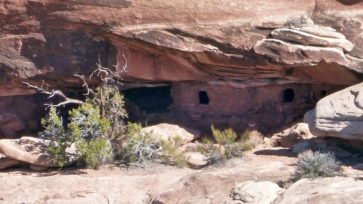 Road Canyon – Cedar Mesa – Utah