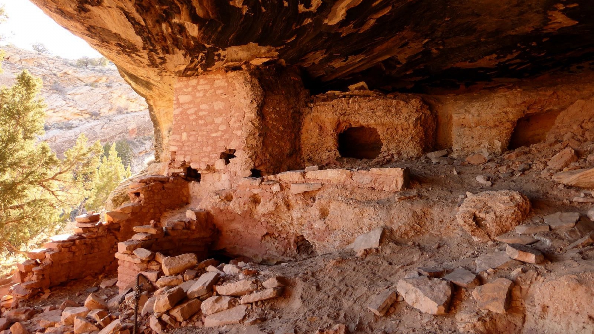 Fish Mouth Cave Canyon – Cedar Mesa – Utah