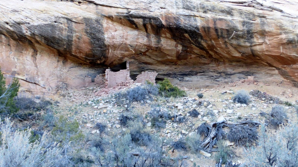 Fish Mouth Cave Canyon – Cedar Mesa – Utah