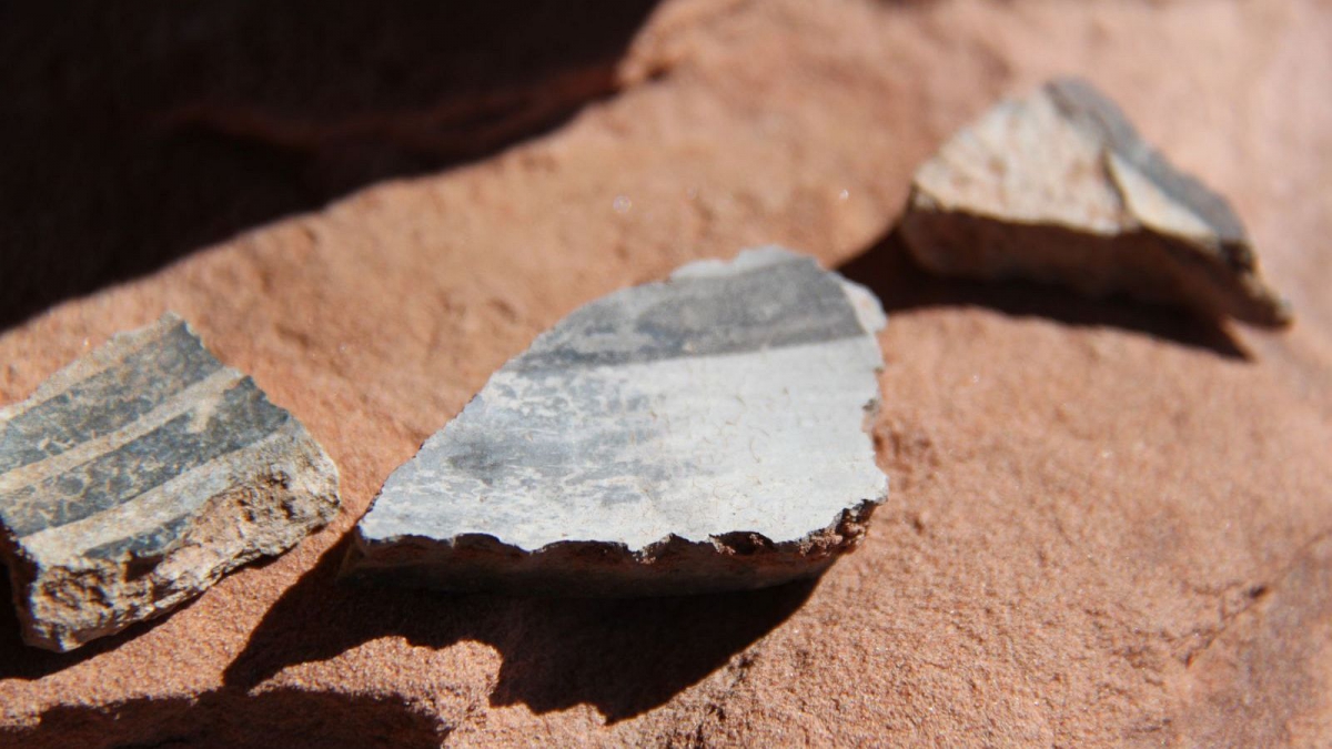 Lower Fish Creek – Cedar Mesa – Utah