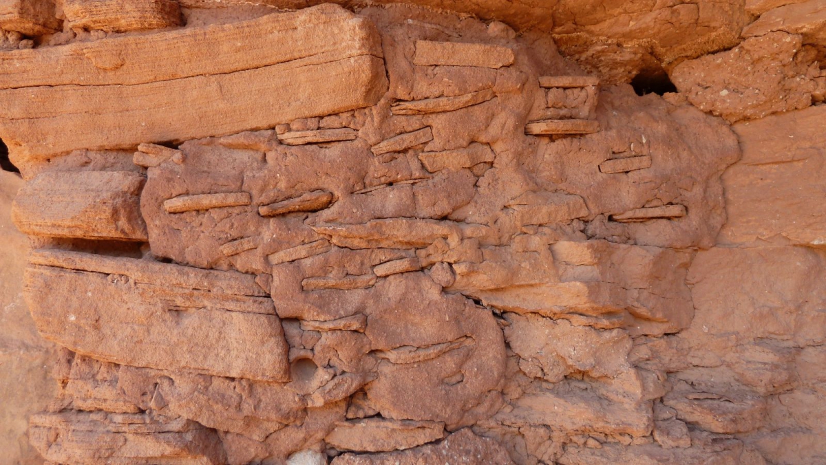Lower Fish Creek – Cedar Mesa – Utah