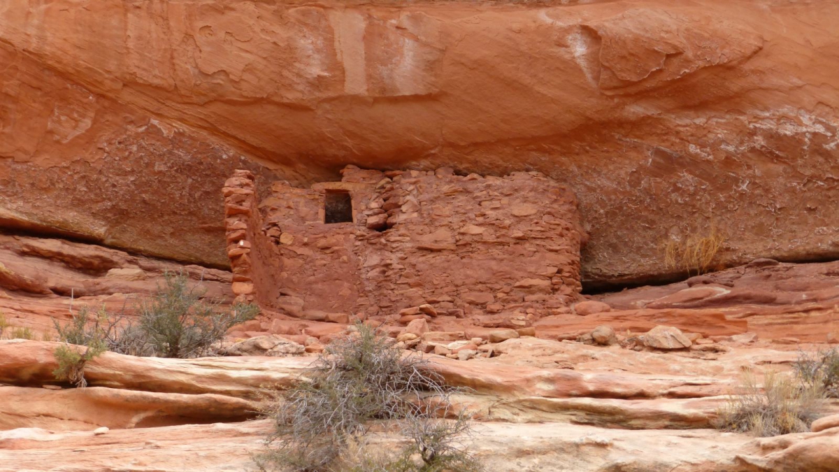 Mule Canyon – Cedar Mesa – Utah – États-Unis