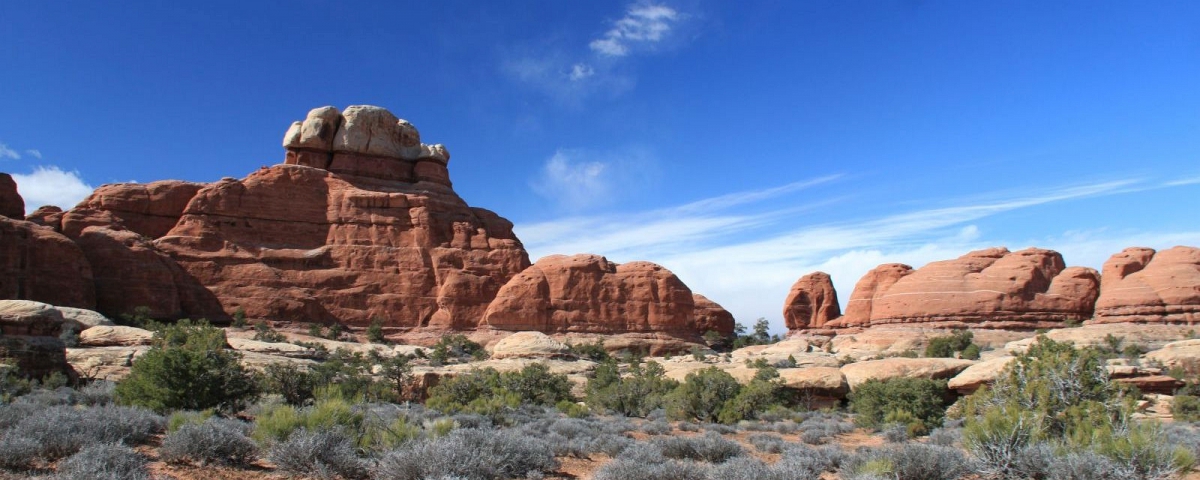 Needles - Canyonlands National Park