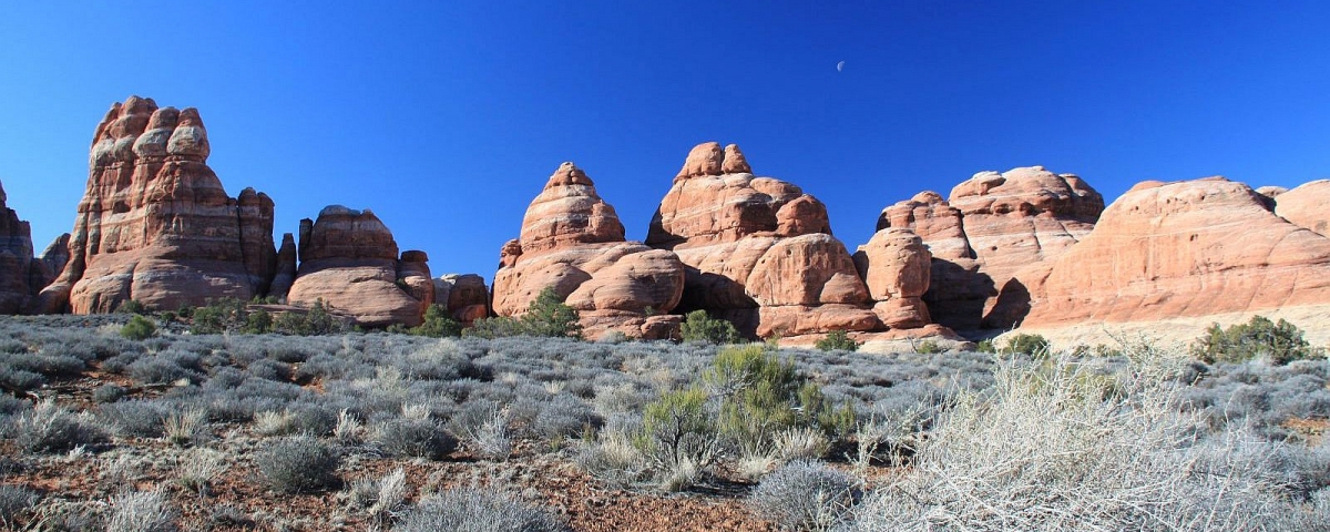 Vue sur Chesler Park, dans le Needles District de Canyonlands National Park, Utah.