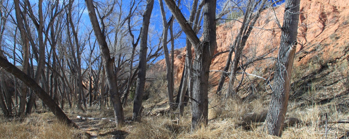 Ballroom Cave Ruin