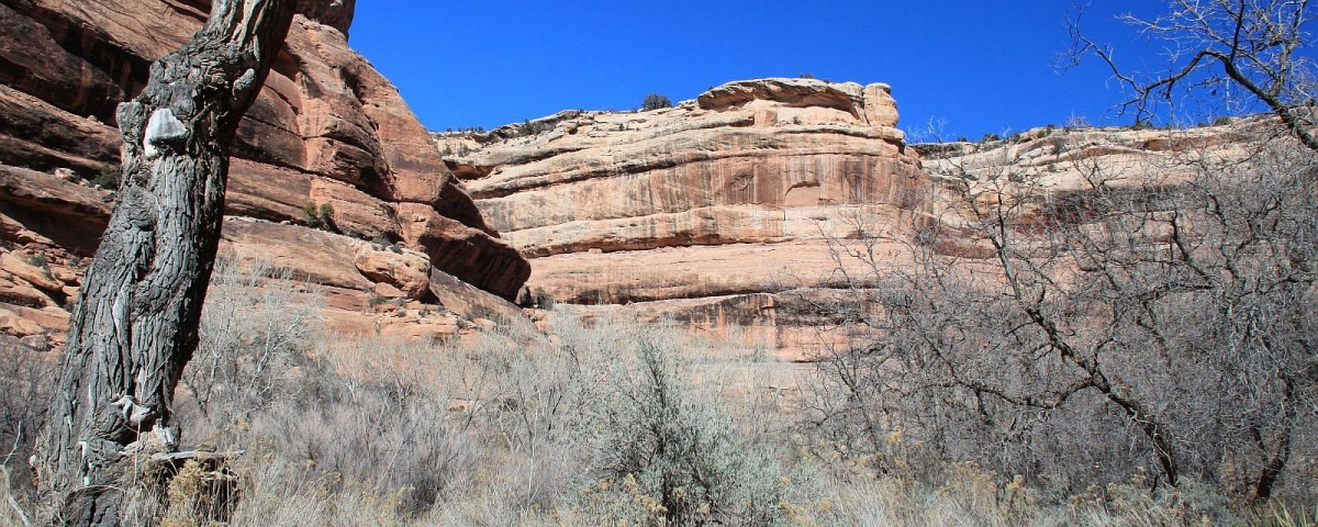 Grand Gulch par Kane Gulch