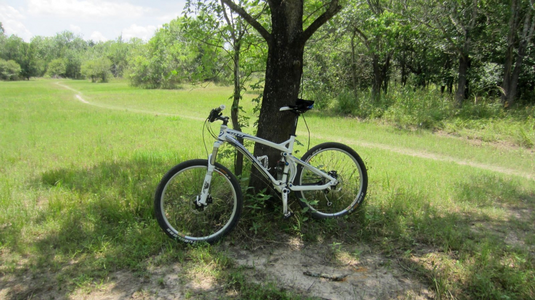 Vélo de Stefano posé contre un arbre, sur le Noble Road Trail, à Houston, Texas.