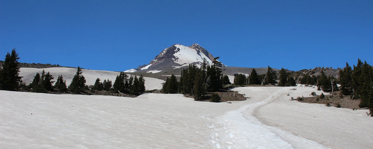 Mount Hood Meadows