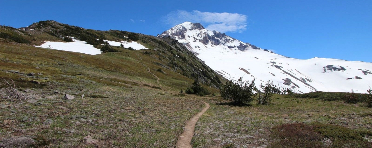 McNeil Point