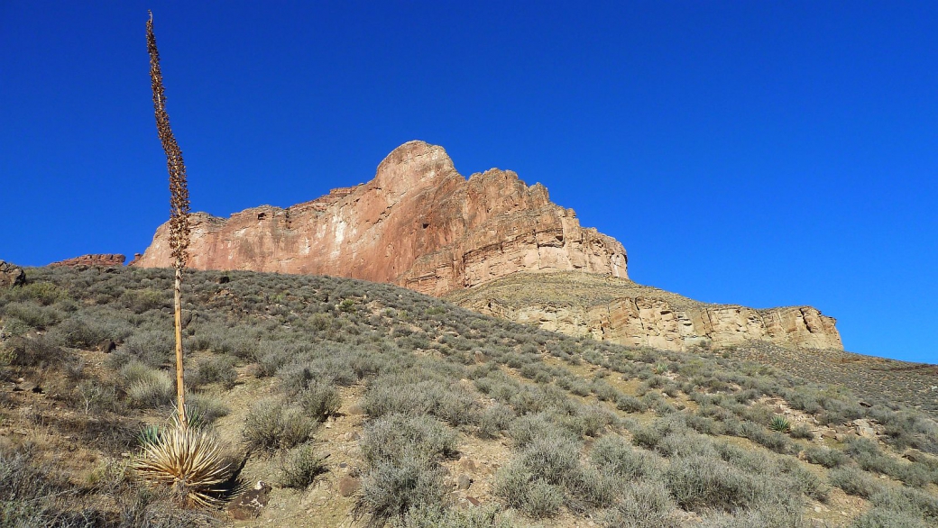 Cette montagne, c'est le "Battleship", vue depuis le sentier qui mène à Plateau Point, au Grand Canyon National Park, Arizona.