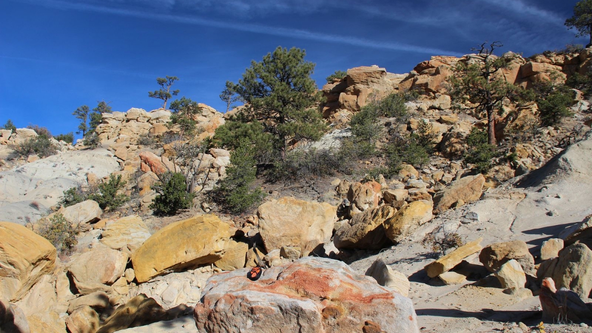 Ceja Pelon Mesa – Cuba – New Mexico