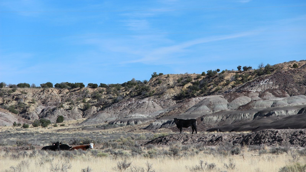 Mesa Penistaja – Cuba – New Mexico