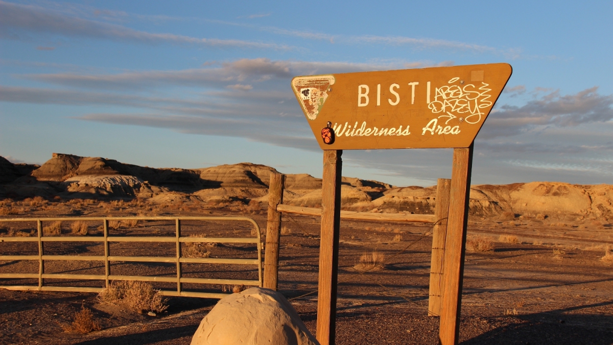 Bisti Wilderness Area – New Mexico