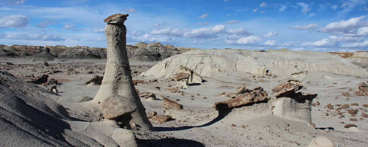 Hoodoo solitaire à Bisti Wilderness.