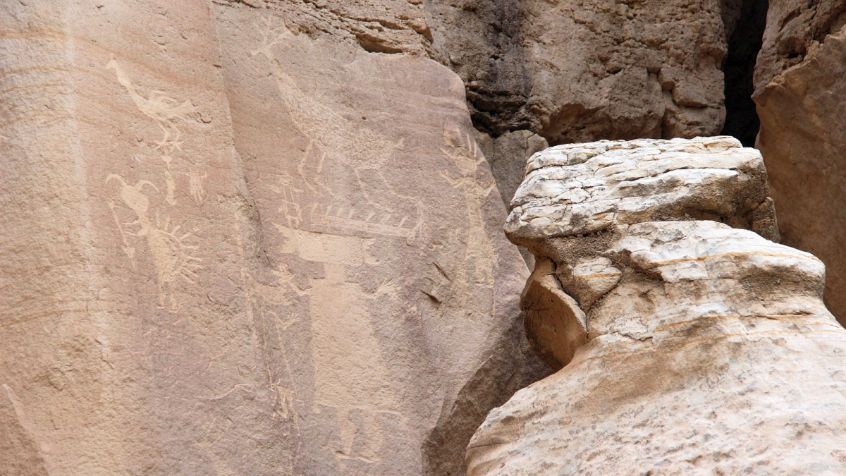 44 Panel – Crow Canyon – Nouveau Mexique