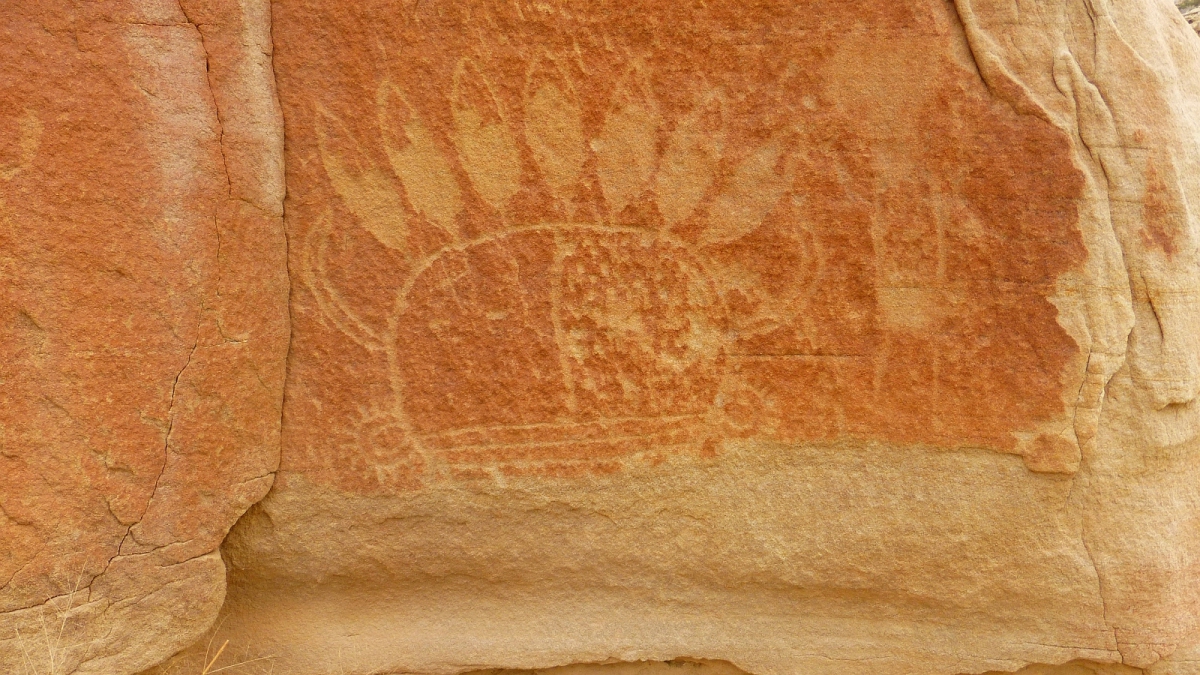 44 Panel – Crow Canyon – Nouveau Mexique