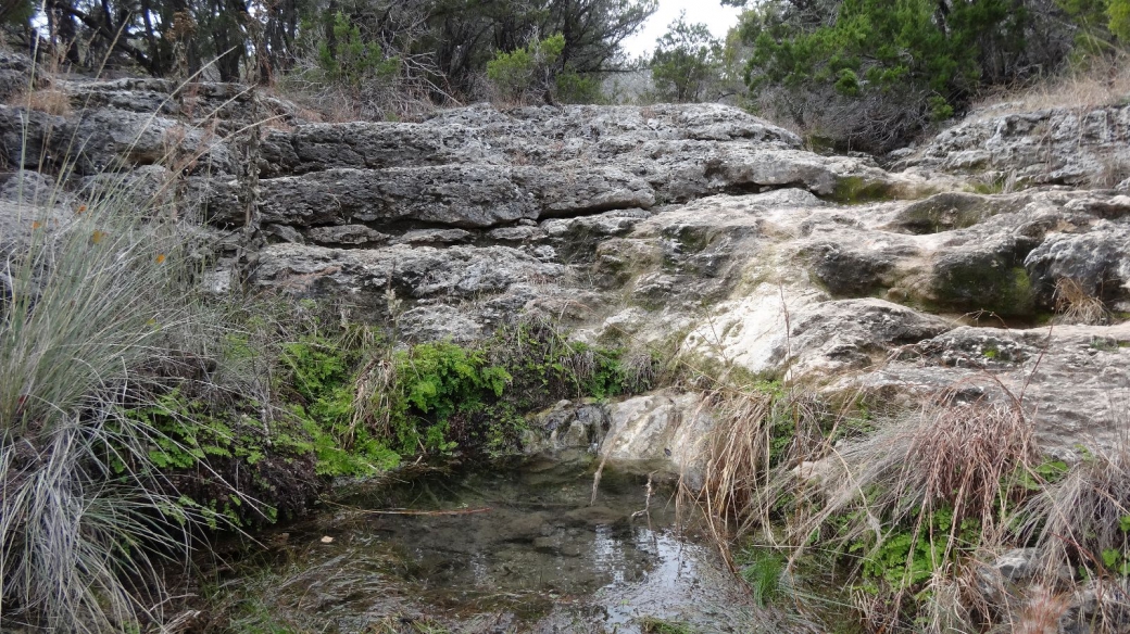 Jones Spring, une source à l'intérieur du Pedernales Falls State Park, au Texas.