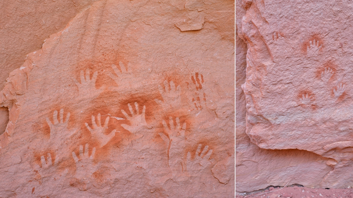 White Canyon – Natural Bridges Monument – Utah
