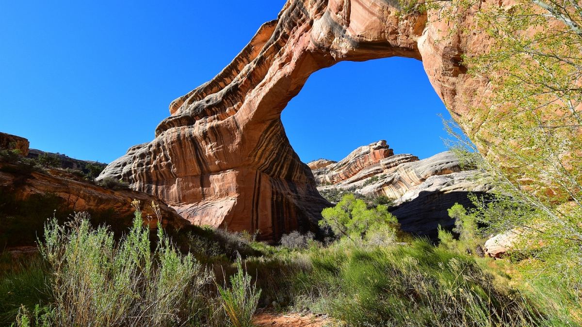 Sipapu Bridge – Natural Bridges National Monument – Utah