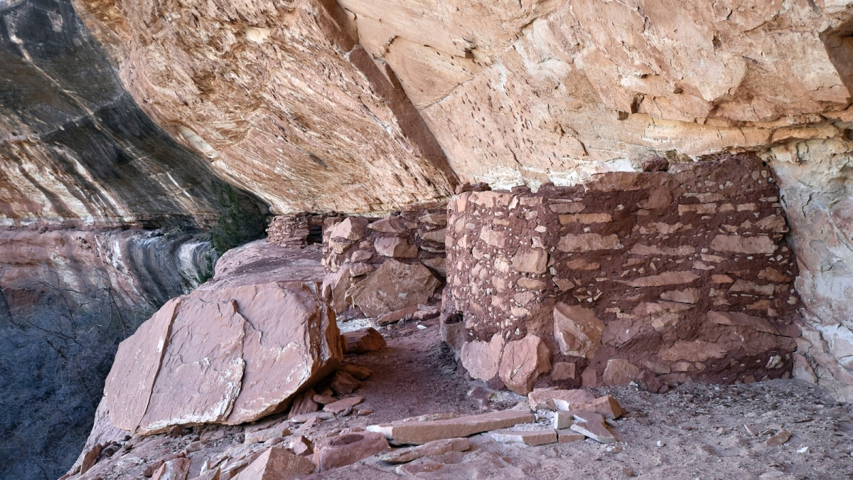 White Canyon – Natural Bridges Monument – Utah