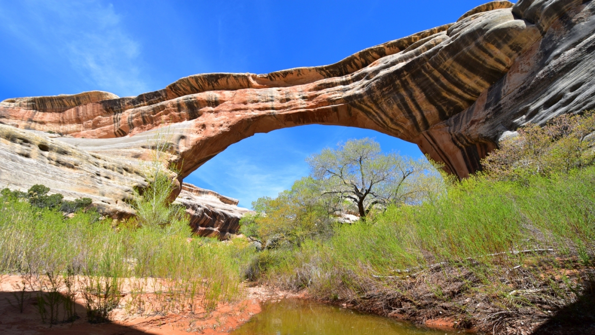 Sipapu Bridge – Natural Bridges National Monument – Utah