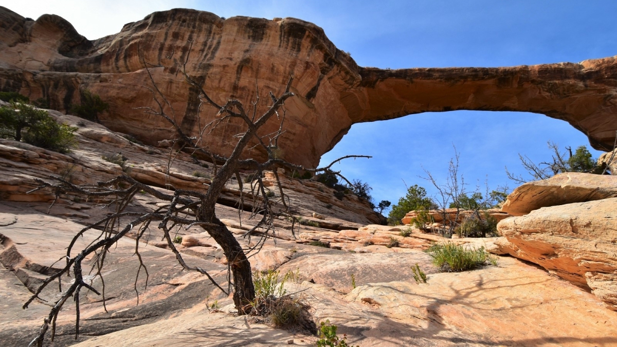 Owachomo bridge – Natural Bridges National Monument – Utah