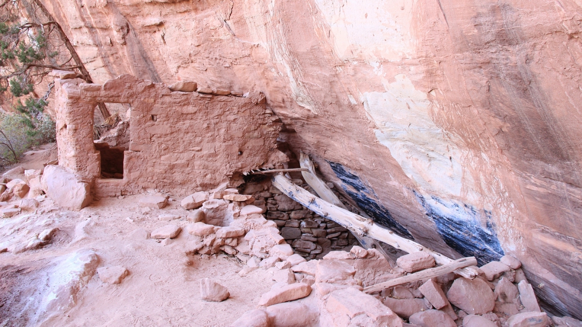 White Canyon – Natural Bridges Monument – Utah