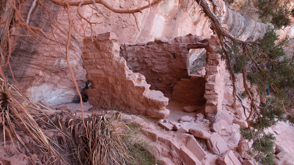 White Canyon – Natural Bridges Monument – Utah