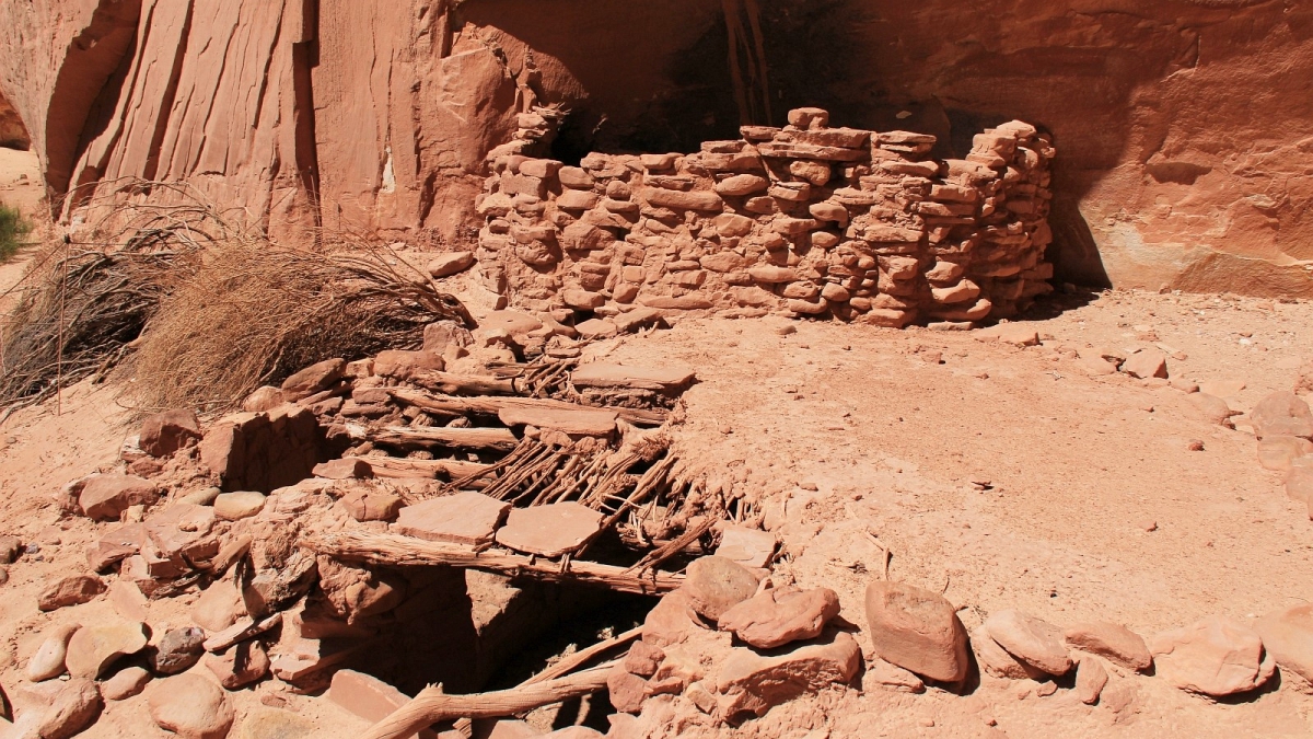 White Canyon – Natural Bridges Monument – Utah