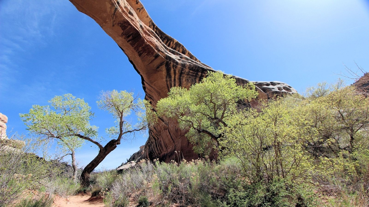 Sipapu Bridge – Natural Bridges National Monument – Utah