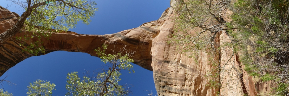 Sipapu Bridge – Natural Bridges National Monument – Utah