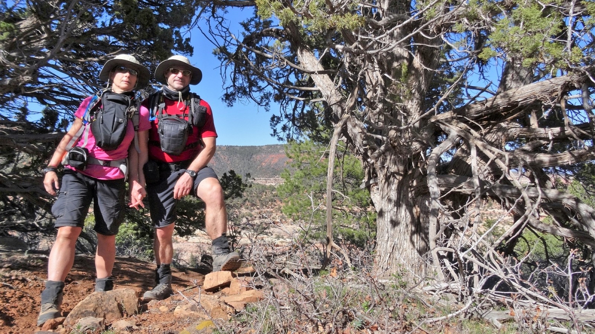 Hammond Canyon – San Juan County – Utah