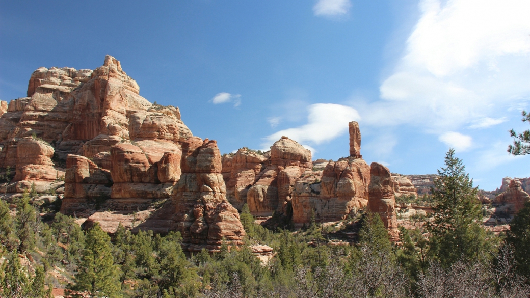 Hammond Canyon dans toute sa splendeur. Près de Blanding, dans l'Utah.