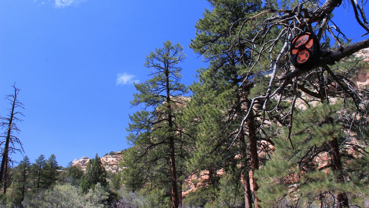 Hammond Canyon – San Juan County – Utah