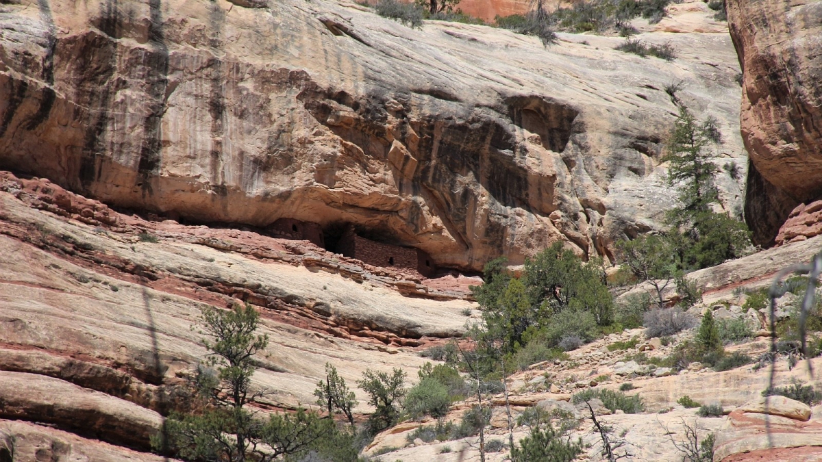 Hammond Canyon – San Juan County – Utah
