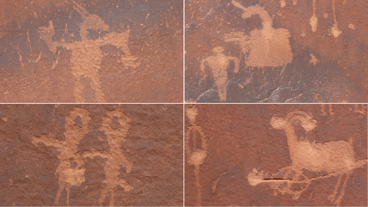 Procession Panel – Cedar Mesa – Utah