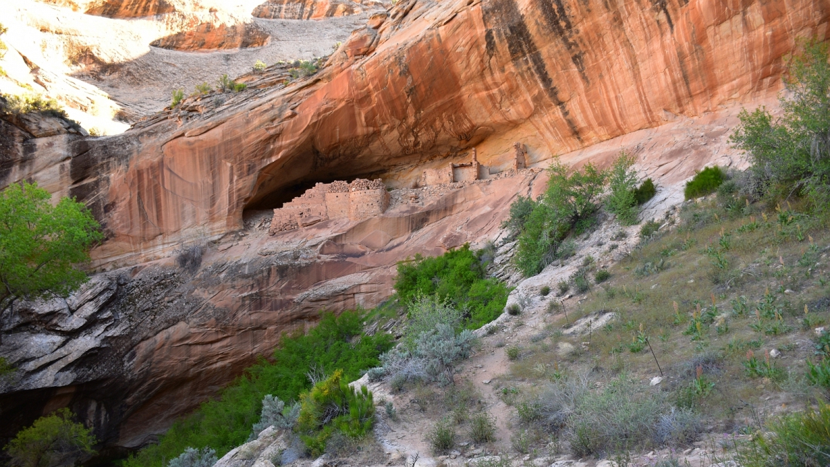 Monarch Cave – Butler Wash – Cedar Mesa – Utah