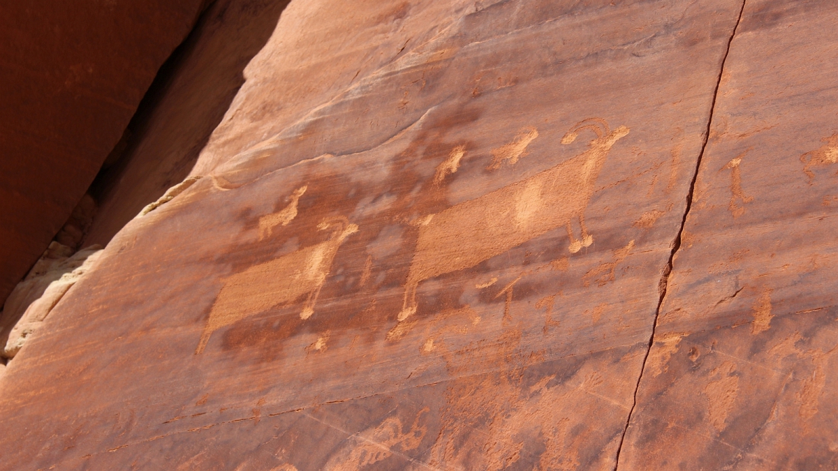 Procession Panel – Cedar Mesa – Utah